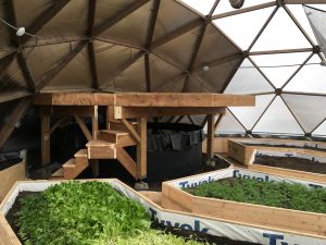 FPC's Growing Space-Growing Dome | DG Konkin General Contractor | Manitoba